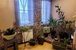 квартира за адресою пер. Отакара Яроша, 16Б