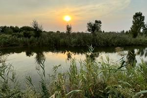 участок по адресу Вишнева
