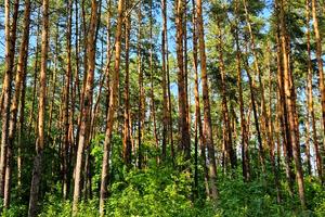 участок по адресу Заозерна