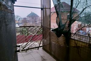 дом по адресу п. Светлое, Черешнева, 121