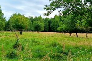 дом по адресу Партизанська, 35