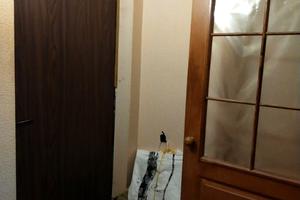 квартира по адресу Збройних Сил України ул. (Інтернаціоналістів), 23