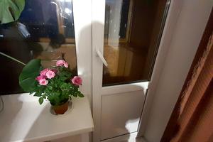 квартира за адресою Заболотного вул., 60