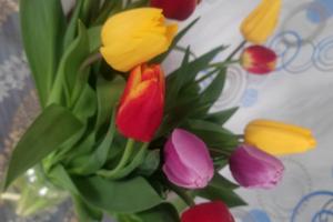 ділянка за адресою Ганнівська вул.