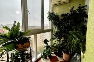 квартира за адресою Євгена Чикаленка вул., 59/8