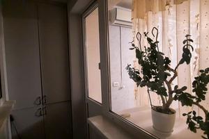 квартира по адресу Стадионный проезд, 6