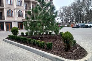 квартира по адресу Дача Ковалевского ул., 91