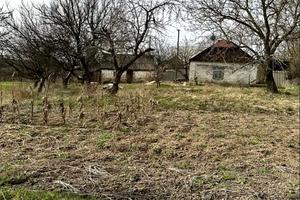 дом по адресу Центральна вул.
