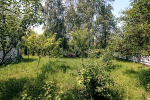 будинок за адресою с. Нова Липівка, Центральна