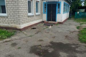 дом по адресу провулок Вишневий
