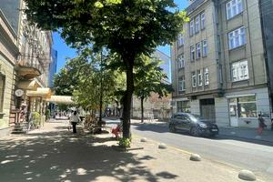 комерційна за адресою Січових Стрільців вул., 38