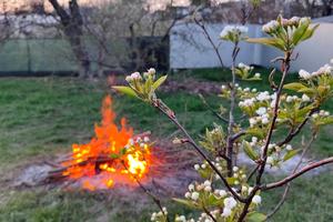 дом по адресу Кутянська, 41