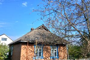 будинок за адресою Новосільська, 22