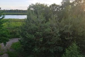 будинок за адресою Бєлградська вул.