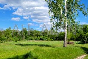 участок по адресу с. Таценки, 