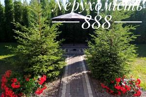 дом по адресу Ягідна