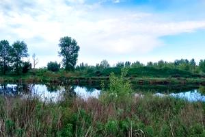дом по адресу с. Вишенки, Вербицького