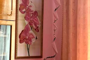 квартира за адресою Бельведерська вул., 4