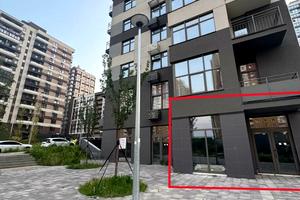 комерційна за адресою Олександра Олеся вул., 3