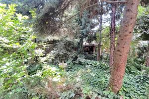 дом по адресу Чубаевская ул., 5