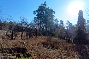 ділянка за адресою Антонія Михайловського вул., 42