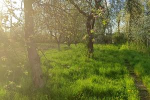 участок по адресу Незалежності