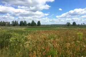 ділянка за адресою Калиновая