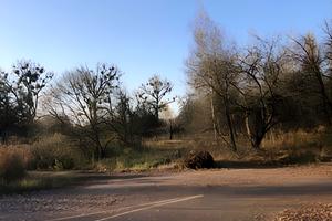 ділянка за адресою с. Йосипівка, 