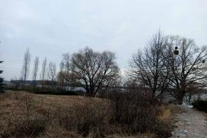 ділянка за адресою смт. Козин, Липська вул., 33