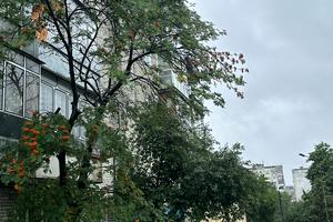 квартира за адресою Мідна вул., 8