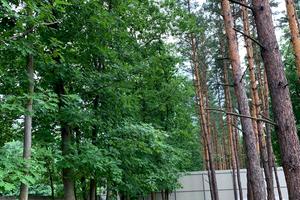 дом по адресу За ГЄС