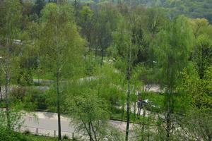 квартира по адресу Лермантовская, 20