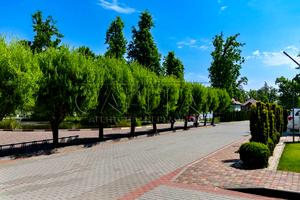 будинок за адресою с. Рославичі, Рославичі