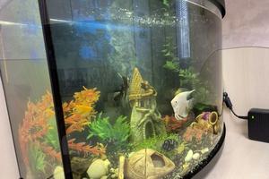 квартира за адресою Героїв Крут вул. (Черепіна), 42-В