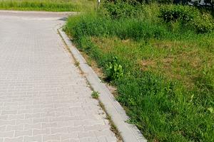 участок по адресу Грушевського, 1