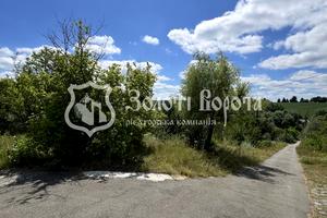 ділянка за адресою Капустяна, 1