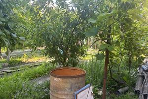 дом по адресу Вишнева, 3