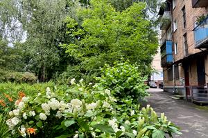 квартира по адресу Степана Бандеры ул., 47