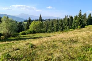 ділянка за адресою Довгий грунь