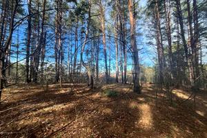 участок по адресу пгт. Глеваха, Котляревського ул., 37А