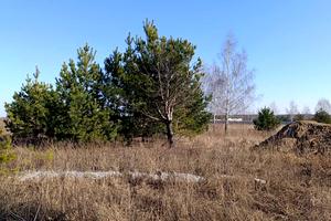 ділянка за адресою Каштанова