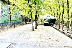 ділянка за адресою с. Кудашівка, Лівобережна сторона, 14