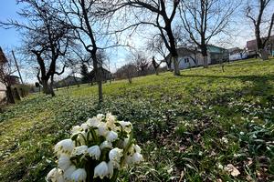 будинок за адресою Шевченка, 45