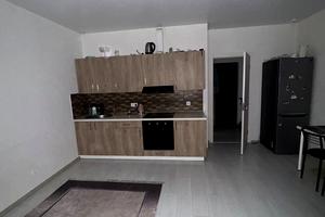 квартира по адресу Спрейса ул., 1
