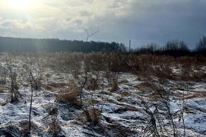 ділянка за адресою старе село