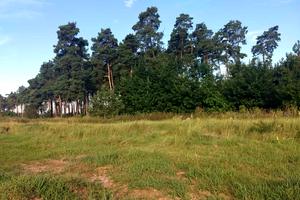 участок по адресу Гайова, 42