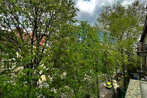 квартира за адресою Євгена Коновальця вул. (), 37