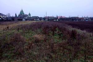 участок по адресу Шевченка