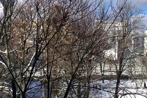 квартира за адресою Полтавський Шлях вул., 175