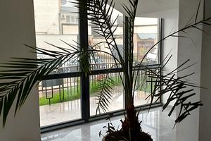 квартира по адресу Тлехаса ул., 9
